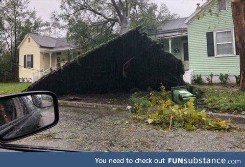 A tree fell over and pulled up the front yard