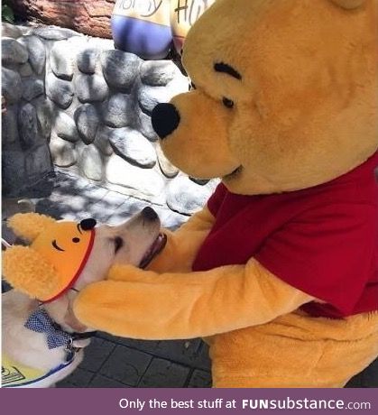 Meeting Pooh