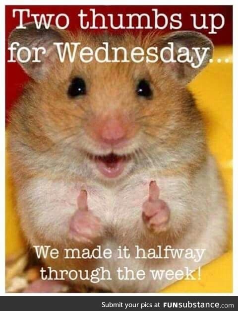 Happy Wednesday