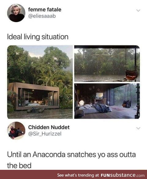 Anaconda food box