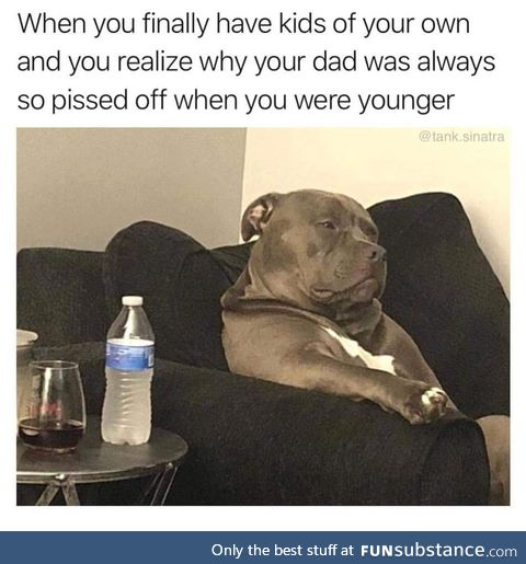 The look on the dog's face matches the meme to well it's amazing