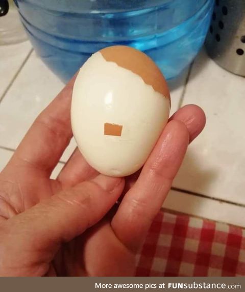 Just ordinary egg... Don't worrry