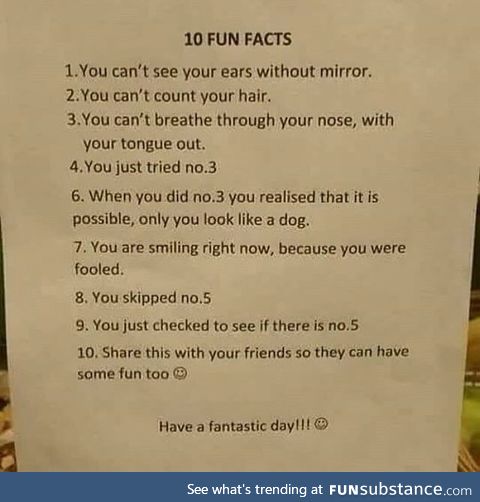 10 fun facts
