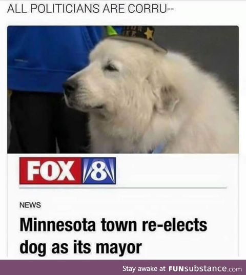 Make Minnesota great again
