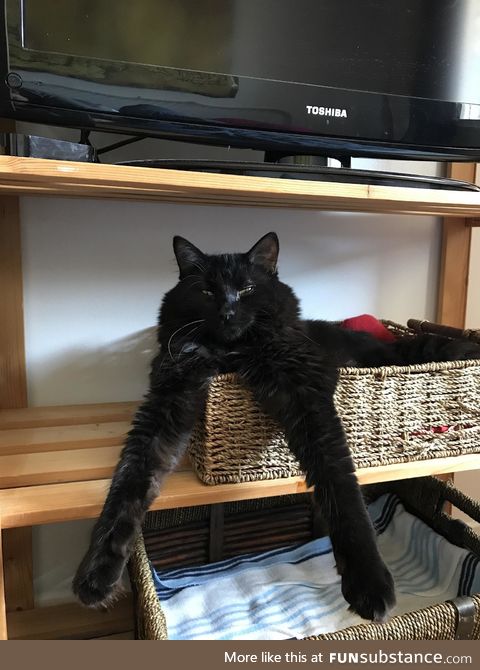 "wat?"