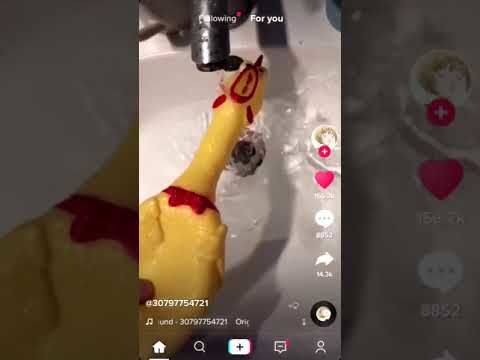 When you put a rubber screaming chicken under running water, the results are unnerving