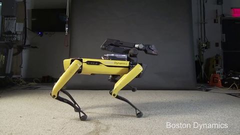 You ever seen a robot dog boogie?