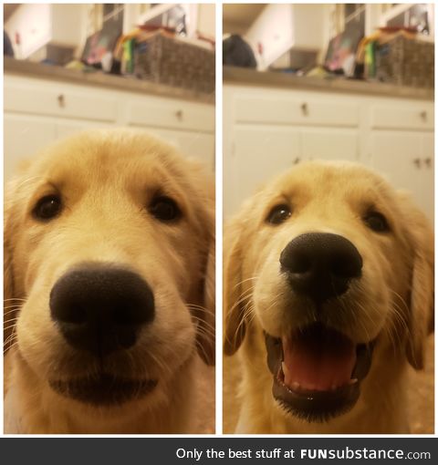 1 = who's a good boy? 2= you :)!!