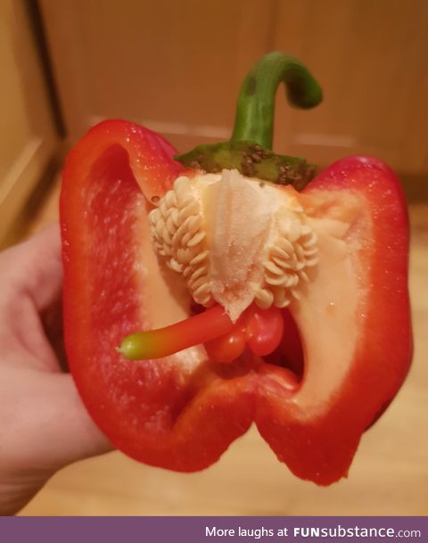 This bell pepper