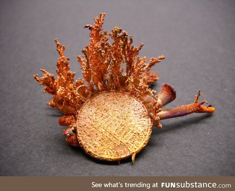 Copper crystals on a penny