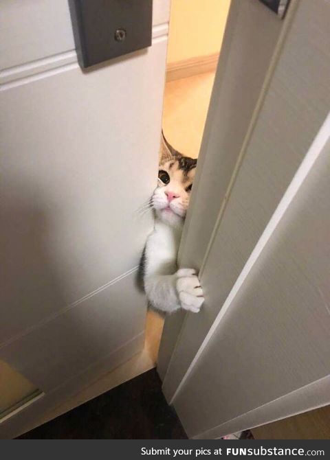 "let.. me.. IN!"