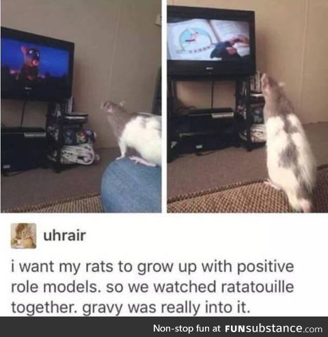 Describe your post. RAT