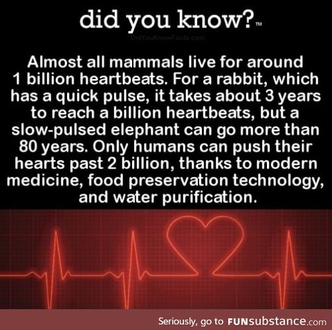 Surpassing 2 billion heart beats