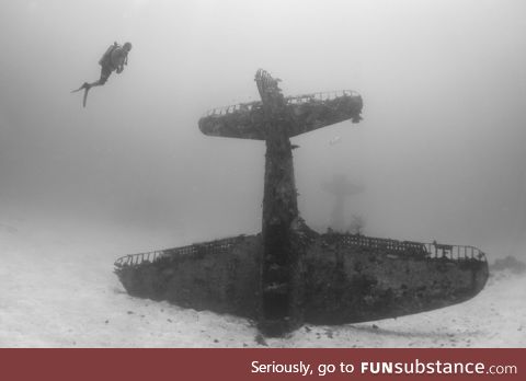 70 year old WW2 plane abandoned at the bottom of the ocean