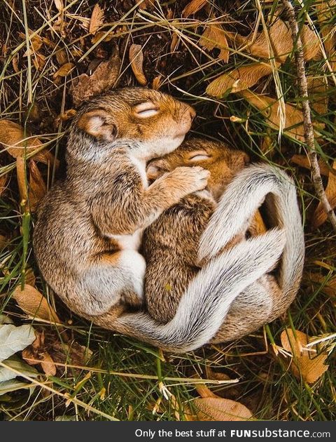 everyone needs love!