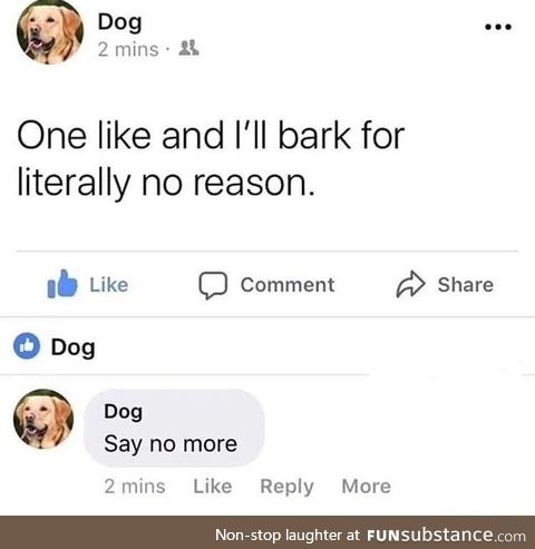 Dog bark