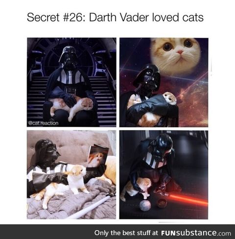 Darth Vader loves cats