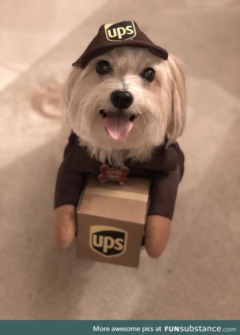 "i got a parcel for you sir!"