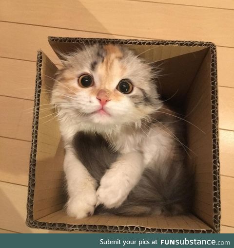 "i love the box, thank you!"