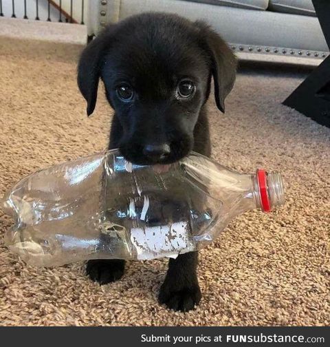 "hoomans..? please stop littering.. okay?"