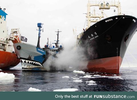 SSS Bob Barker disrupted Japanese whale poachers from illegally refueling