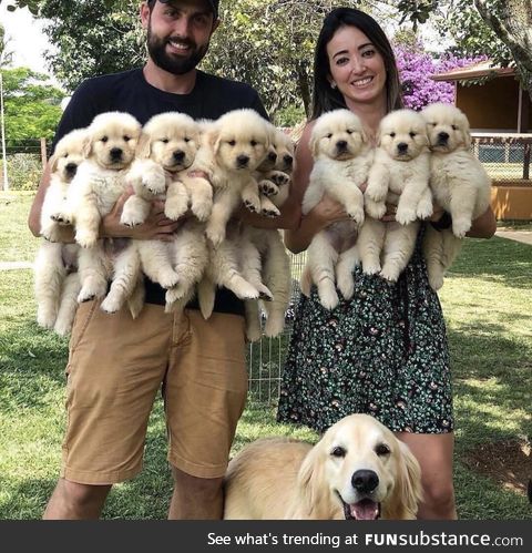 bundle of cuteness floof!