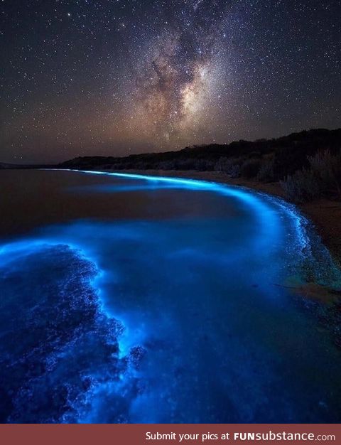 Bioluminescent photoplankton at night