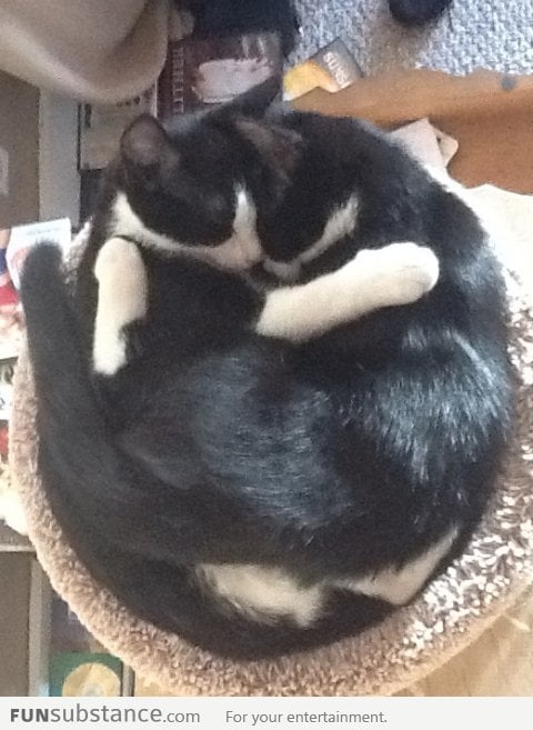 They Are Like Yin And Yang