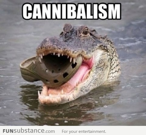 Cannibalism: croc eating crocs