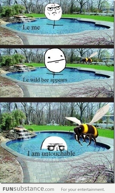 Wild bee appears