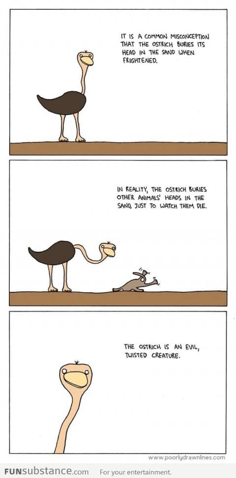 Why Ostriches Are Evil