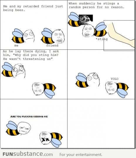 YOLO bees .. just being bees