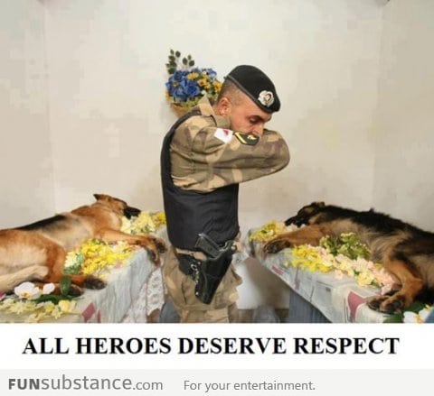 True Heroes