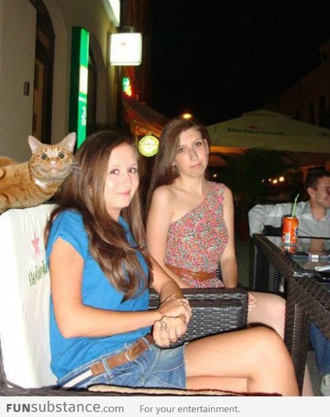 Photobomb Level: Cat