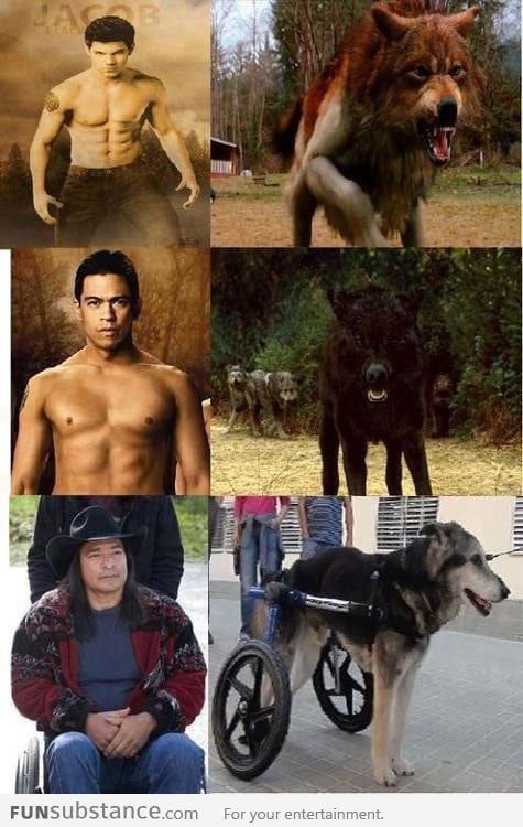 Twilight Werewolf Transformations