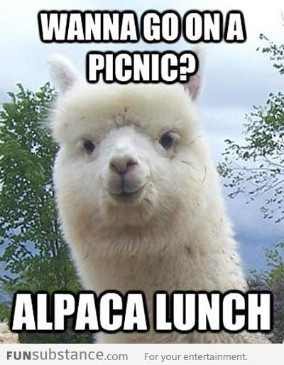 Let's go on a picnic