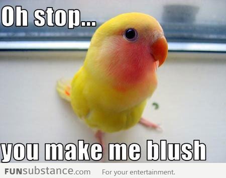 Oh you make me blush