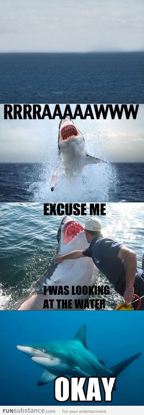 Excuse me, shark