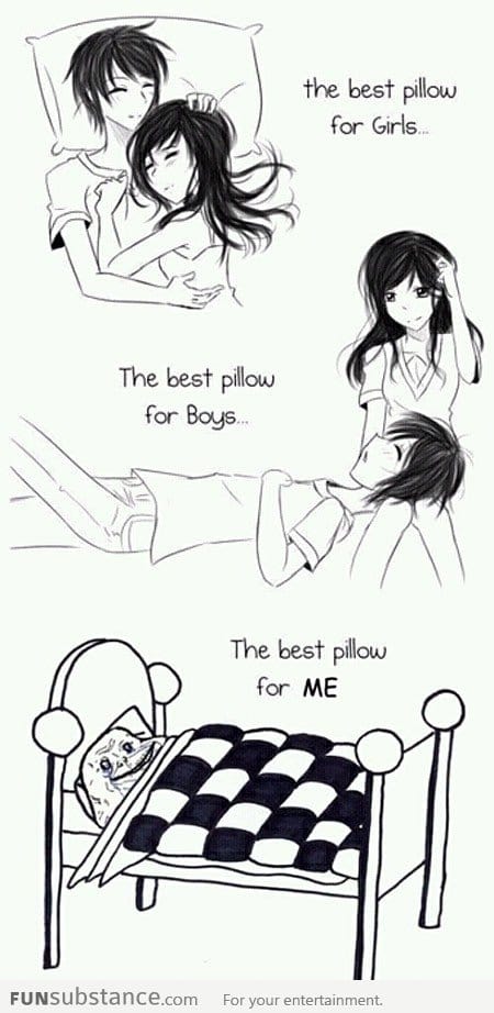 Best Types Of Pillow