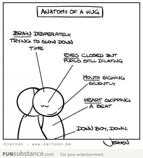 Anatomy of a hug