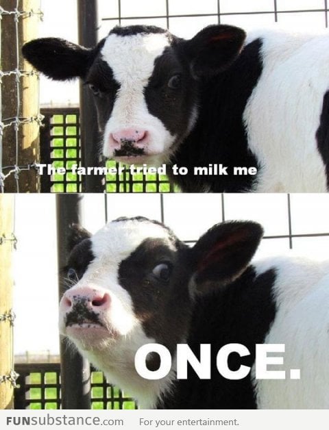 Badass Cow