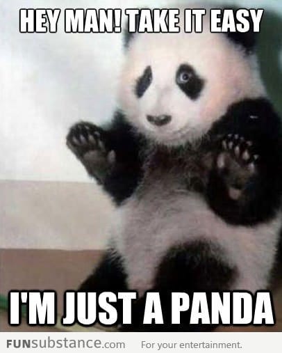 Take it easy I'm just a panda