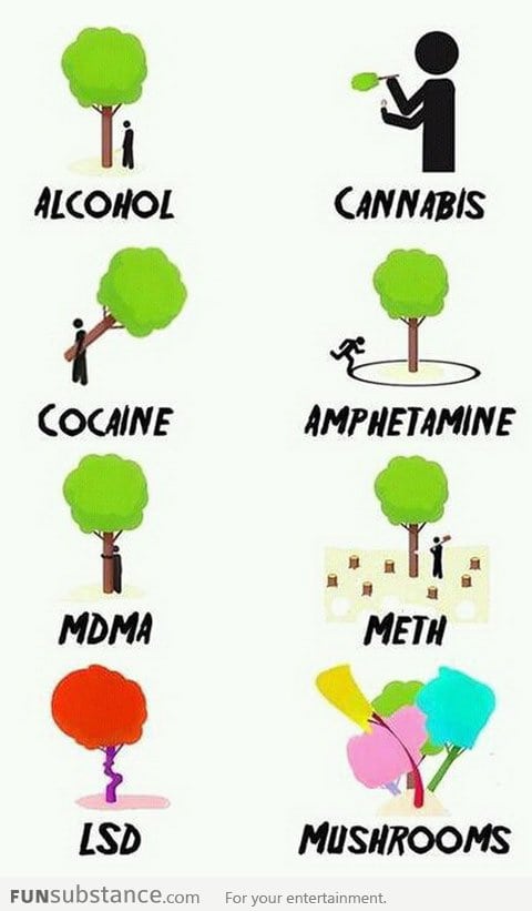 Different stages of drugs explained with trees