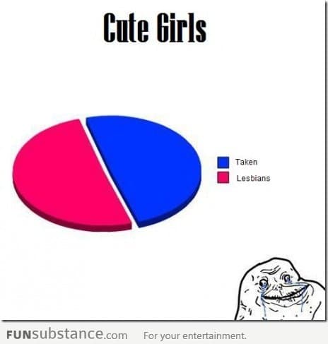 The Cute Girls Pie Chart - Guys Would Agree