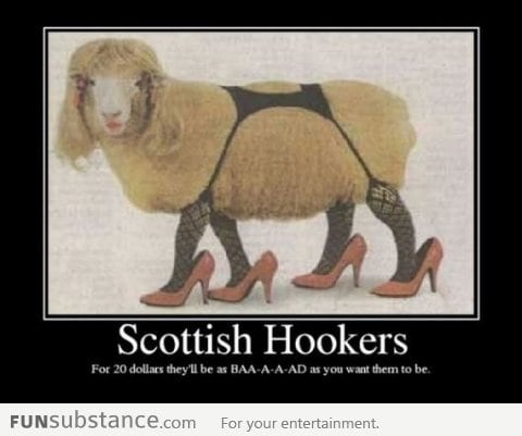 Scottish hook*rs Are Baa-a-a-ad