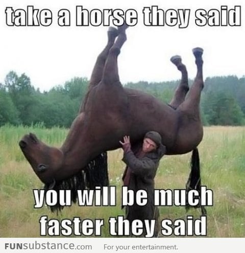 Take a horse