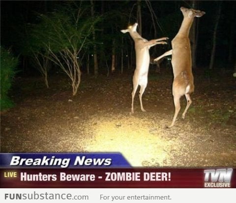 Zombie Deer