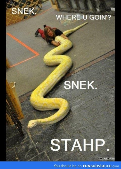 Snek Stahp