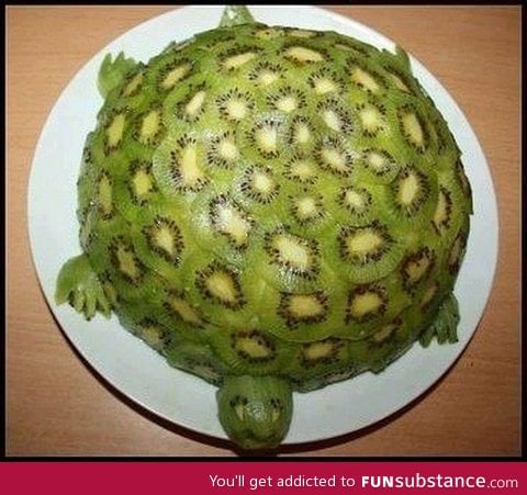Turtle made entirely of kiwi fruit