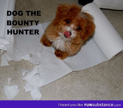 Dog the bounty hunter